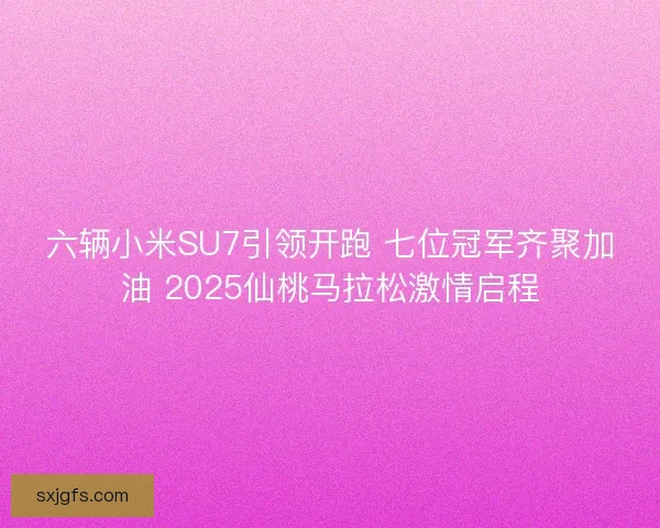 六辆小米SU7引领开跑 七位冠军齐聚加油 2025仙桃马拉松激情启程